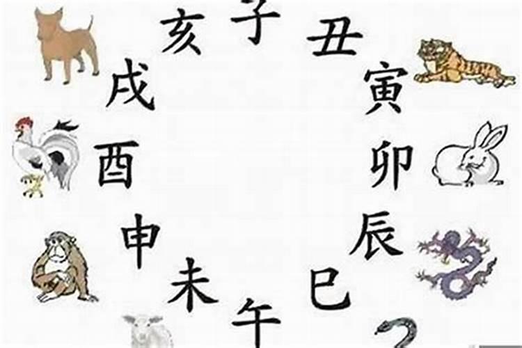 八字每月