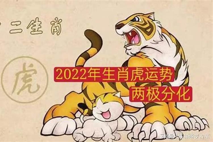 属虎牛年运势2022