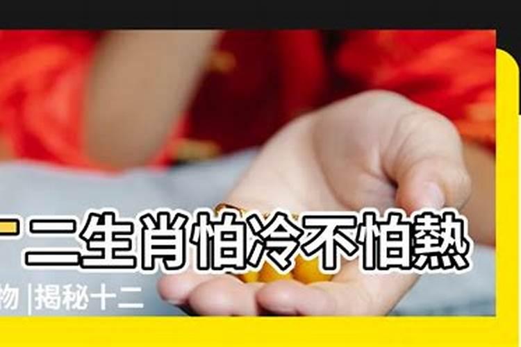 八字怕火的人要注意什么