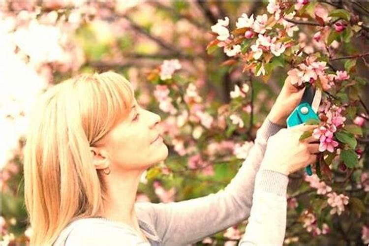 中老年女人梦见老公