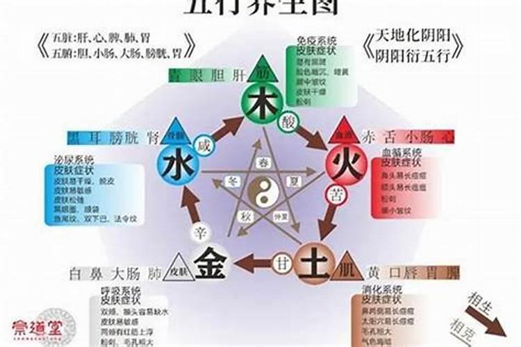 五行缺木怎么化解