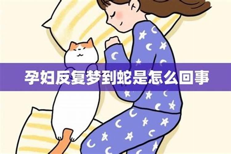 怀孕时梦到蛇是怎么回事啊女性