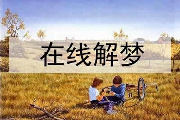 梦见回到过去的地方