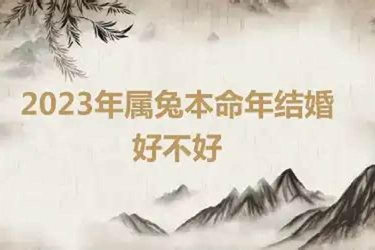 2023年属兔女本命年结婚好不好