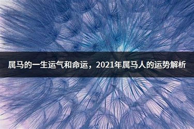 2021年属马的人运气怎样