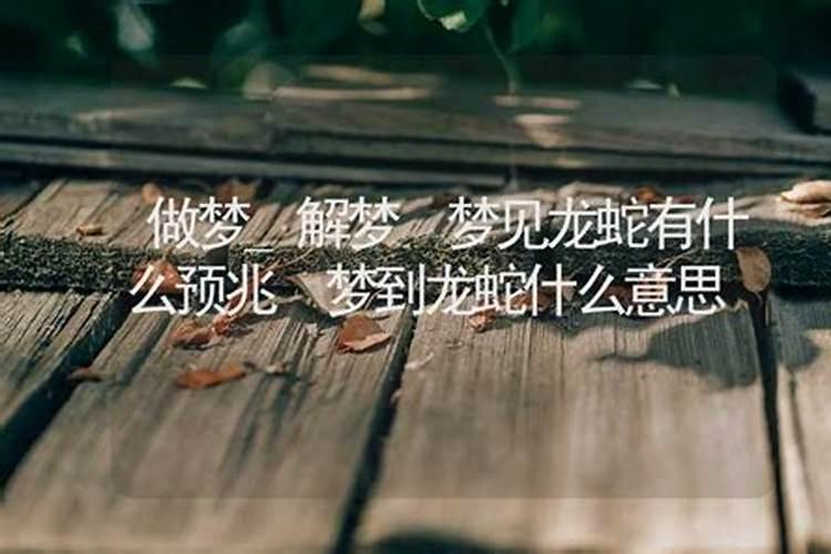 梦见龙蛇是什么预兆周公解梦