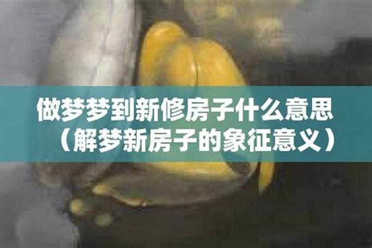 做梦梦到新房子到处都是壁虎