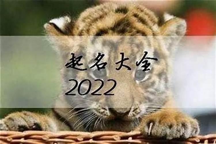 88岁属猴2024年运势如何