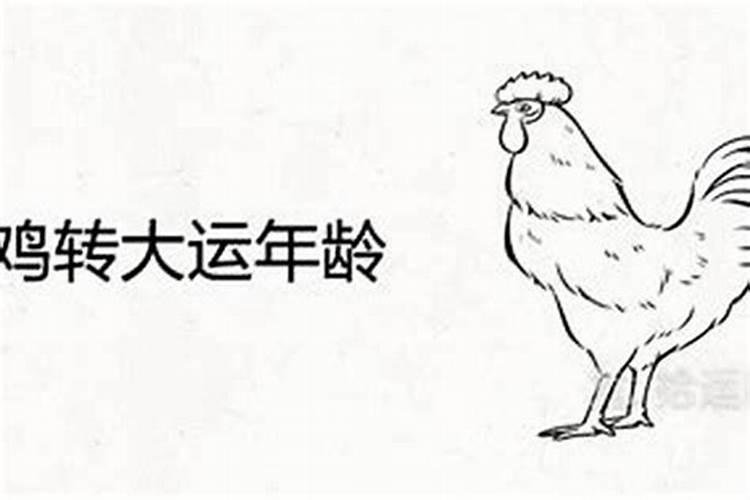 1981年属鸡女晚年好不好