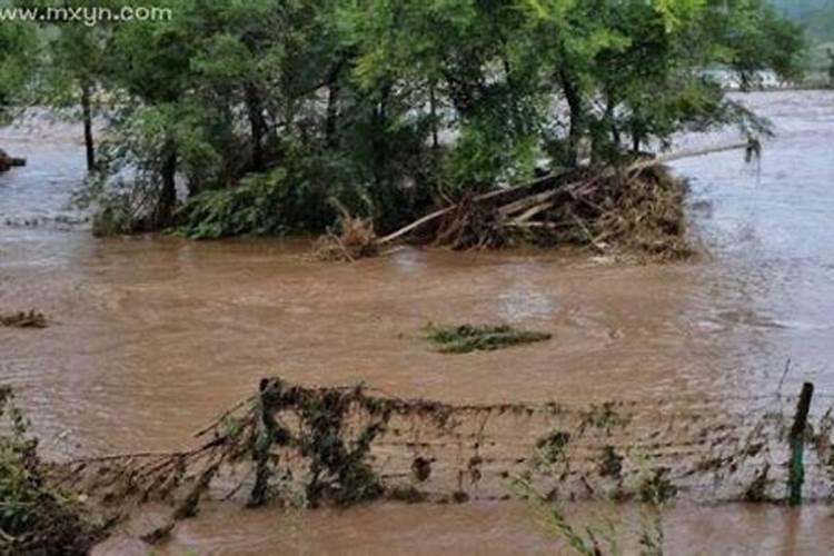 梦见地震和发洪水带家人逃跑什么意思