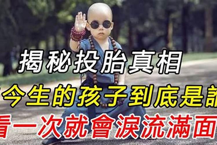 什么是天公童子命