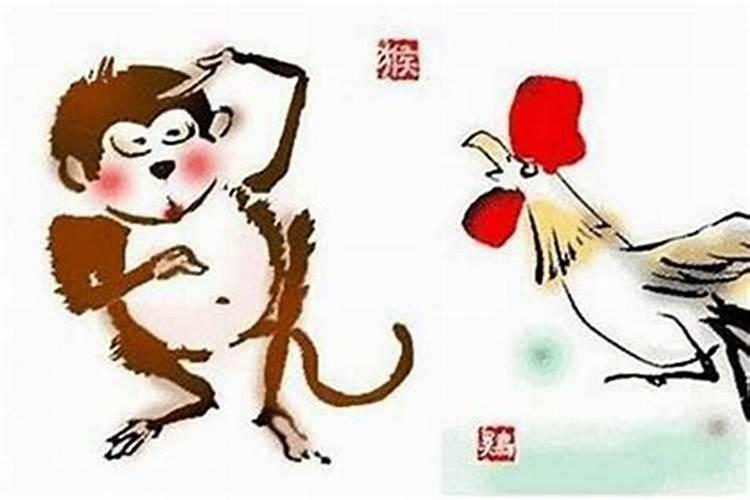 婚姻上鸡猴合婚怎么样