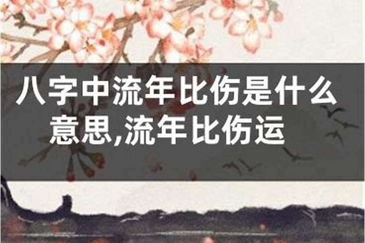 八字比伤印是什么意思