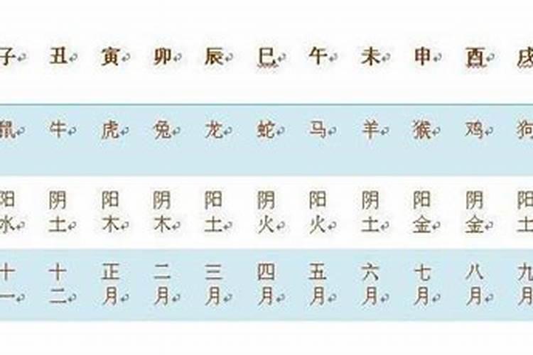 八字带华盖好吗