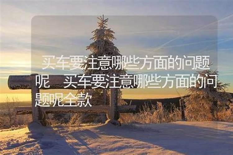 冬至买车需要注意什么呢