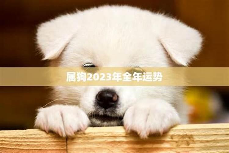 属狗2023年事业怎样