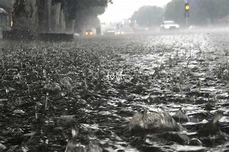 孕妇梦见下雨发大水