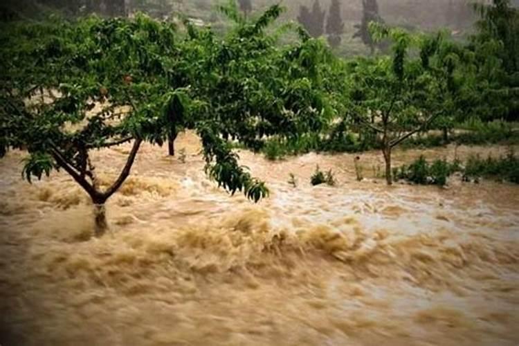 梦见下雨涨大水是什么征兆周公解梦