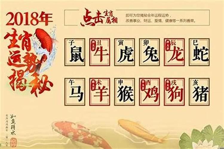 属兔的今年11月运势如何