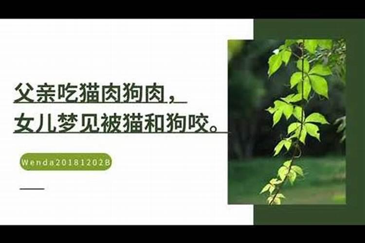 梦见和爸爸一起吃肉好不好呢周公解梦是啥意思