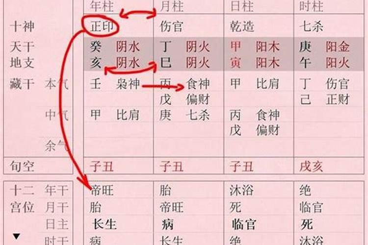 食伤是什么意思八字