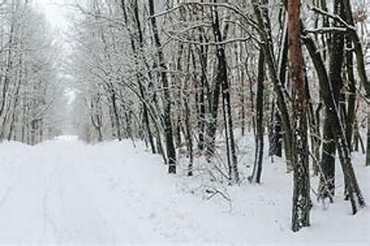 梦见满路都是白雪很不好走