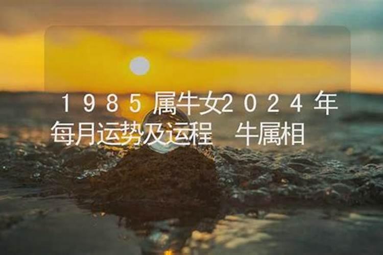 1985属牛女今年运势