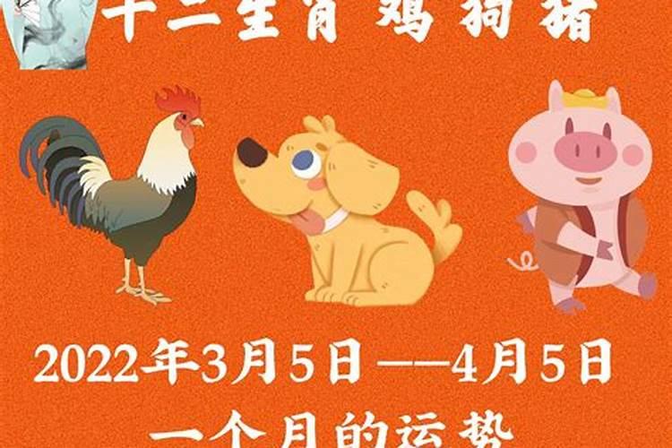 属鸡5月份运势