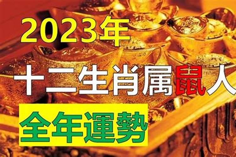 十二生肖属鼠2023年运程