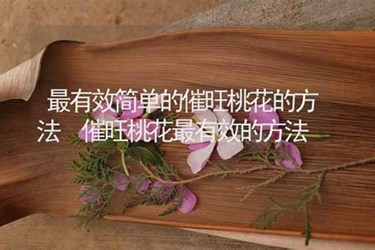 算命多大年龄结婚算晚婚