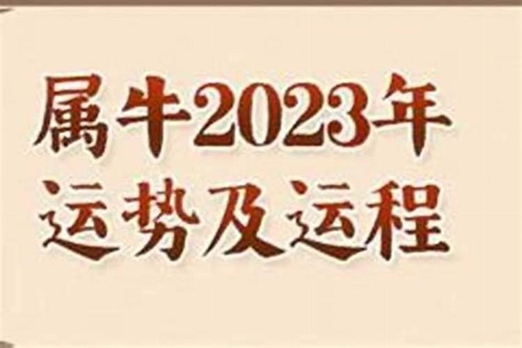 生肖牛2023运势