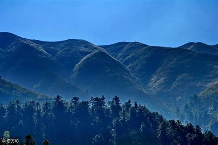 梦到大山好不好