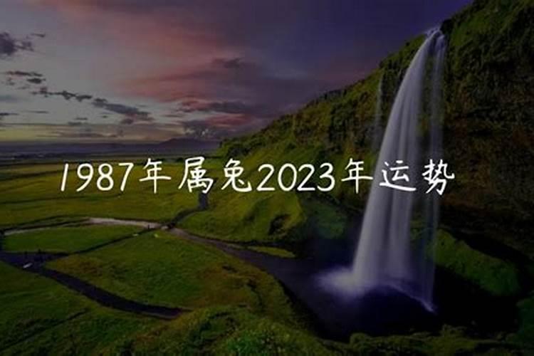 1987年在2023年的运势