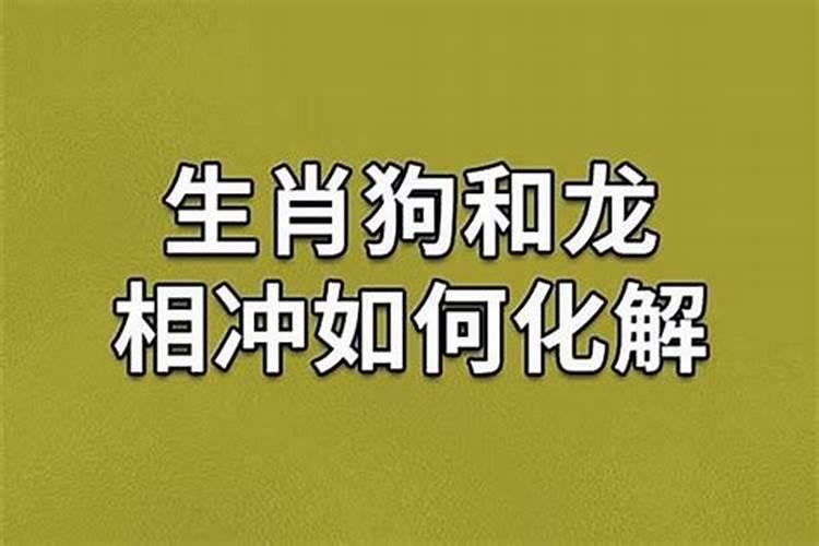 狗和龙夫妻怎么化解相克呢