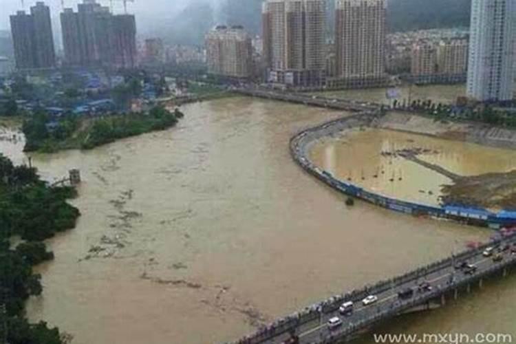 梦见大雨大河