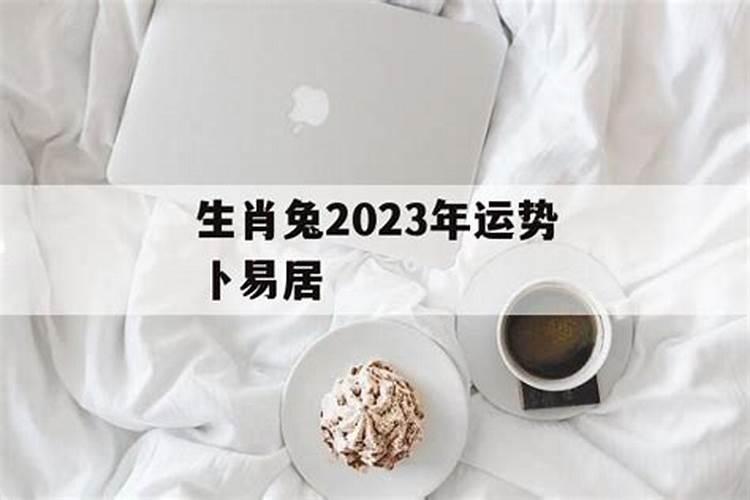 属兔2023运程