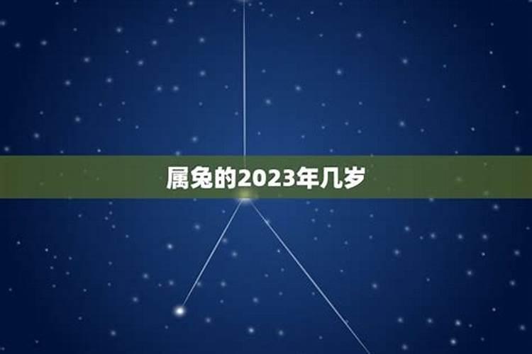 属兔2023年多大立子最好