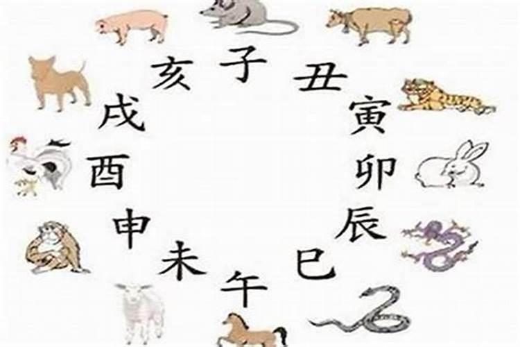 猪和蛇八字真的不合吗为什么