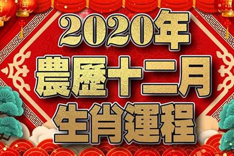 12生肖的农历12月财运2020年