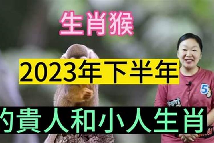 2023年下半年小人作祟的生肖