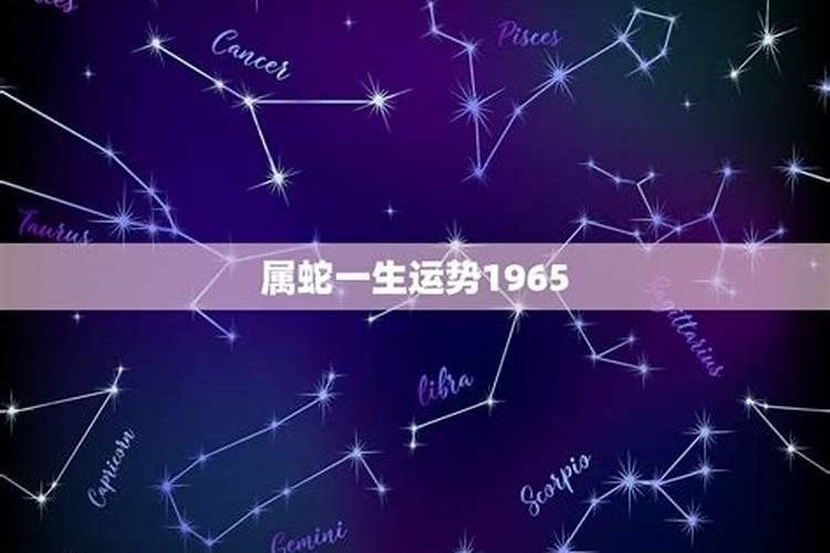 1965出生蛇一生的运势如何看