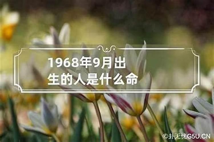 68年出生那年的运势