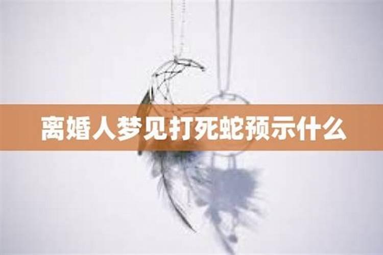 离异的人梦到前妻预示什么