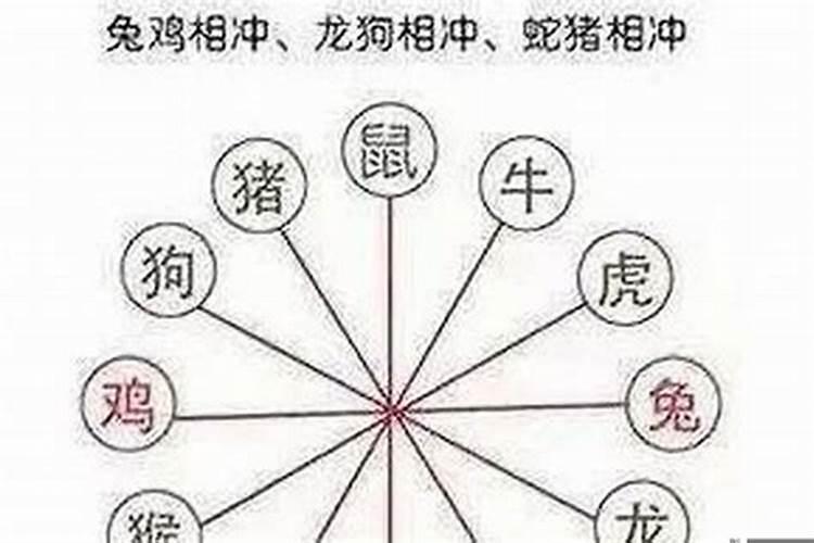 犯冲的属相婚配