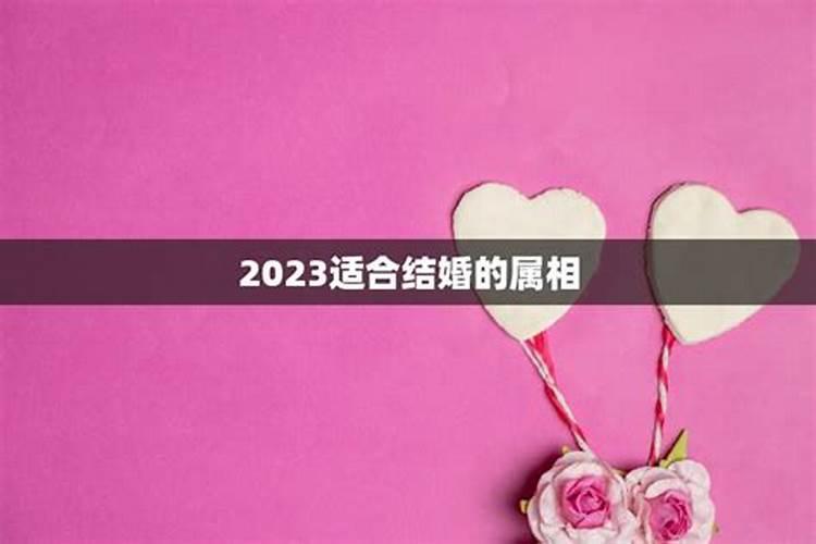 本命年2023年适合结婚吗