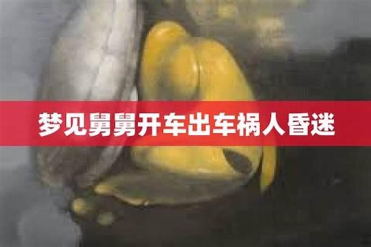 梦见舅子叫我帮他开大货车什么意思