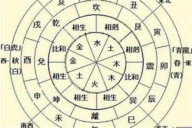 八字五行中的木代表什么