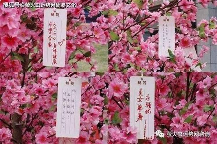 神煞中桃花煞是什么意思