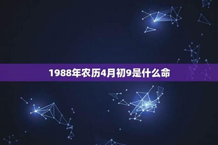 1988年农历4月出生的人命运