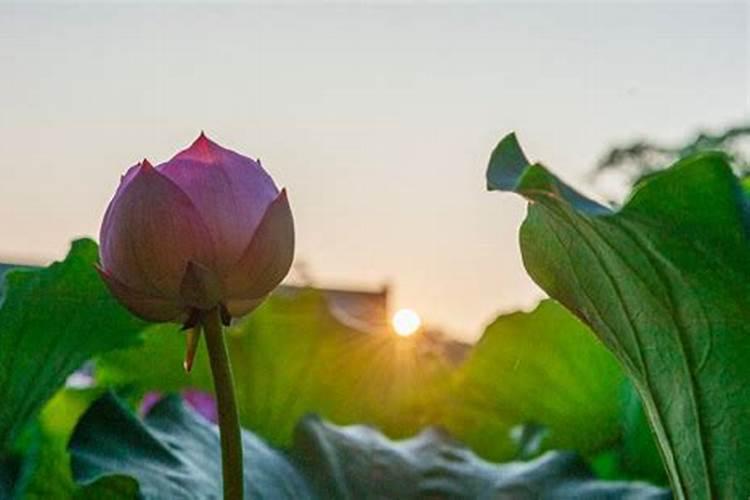 清明节让上坟